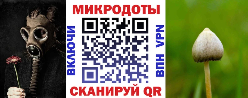 Купить  Краснодар  Галлюциногенные грибы прущие грибы 